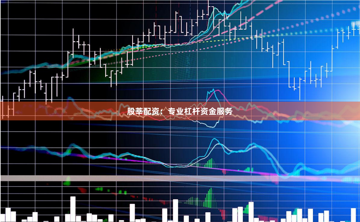 股莘配资：专业杠杆资金服务